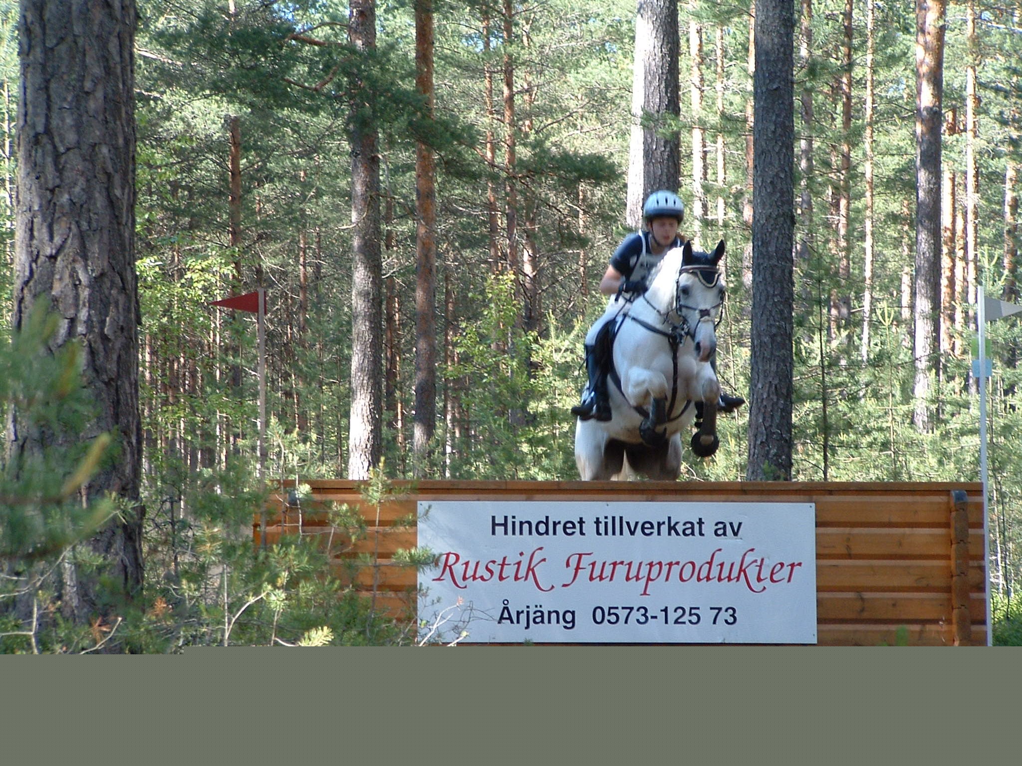 zipptavlingtrossnas.jpg